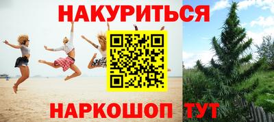 крисы Краснокаменск
